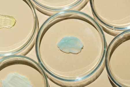 A group of petri dishes on a beige background with samples of skin care products. Smears of green cream and aloe. Natural care cosmetics.の写真素材