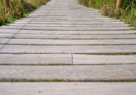 Walking trail from wooden boards, close-up