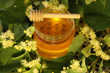 jar of linden honey with linden blossomの写真素材