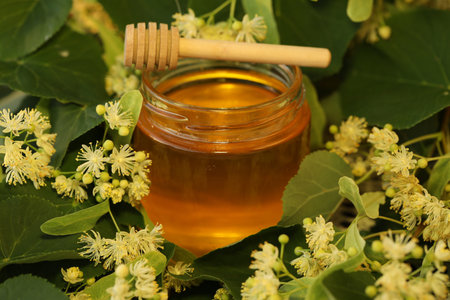jar of linden honey with linden blossomの写真素材