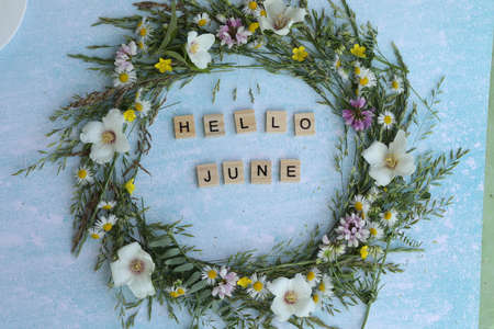 blue background with flowers frame and text. hello juneの写真素材