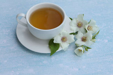 cup of herbal tea with jasmine flowers on blue backgroundの写真素材
