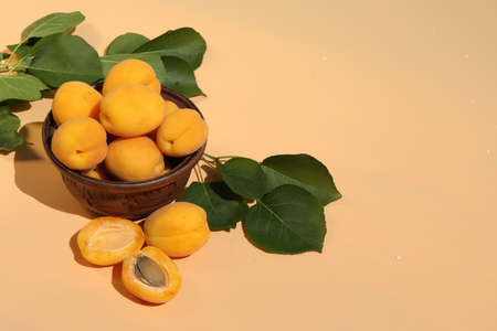 fresh apricots on pink background with copy spaceの写真素材