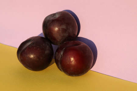 plumes on the yellow background with copy spaceの写真素材