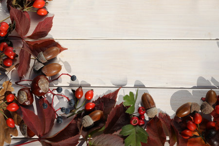 white wooden background with autumn leaves frame and copy spaceの写真素材