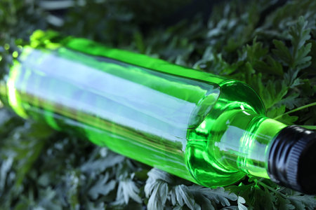 bottle of green absinthe drink on the black background with herbsの写真素材