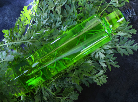 bottle of green absinthe drink on the black background with herbsの写真素材
