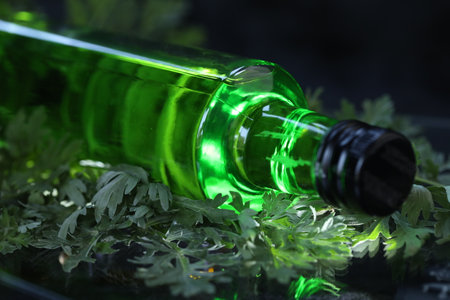 bottle of green absinthe drink on the black background with herbs
