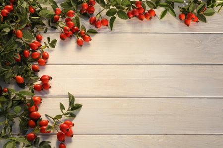 white wooden background with rose berries and copy spaceの写真素材