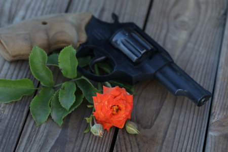 art photo. vintage still life with gun and rose on wooden backgroundの写真素材