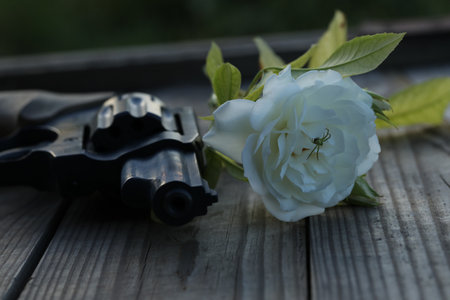 art photo. vintage still life with gun and rose on wooden backgroundの写真素材