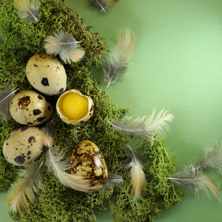 easter eggs and feathersの写真素材