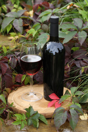 glass of red wine on wooden background with autumn leaves and bottleの写真素材