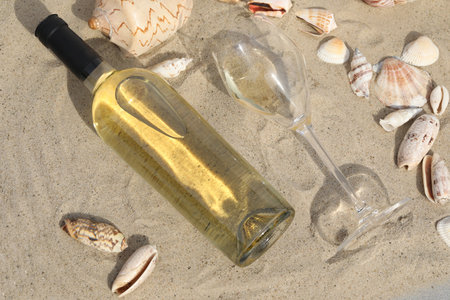 glass of white wine on sand as background with shellsの写真素材