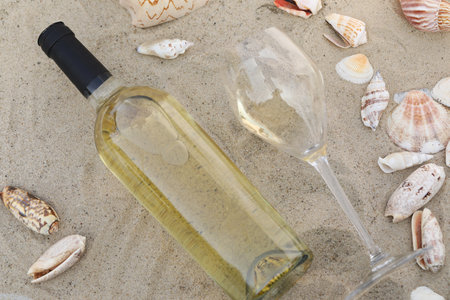glass of white wine on sand as background with shellsの写真素材