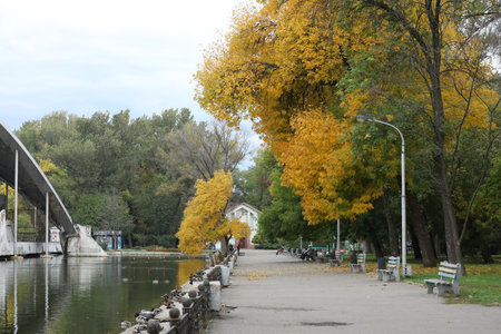 autumn park alley. empty parkの写真素材
