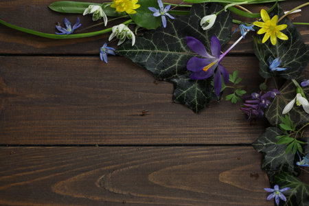 brown wooden background with spring flowers, leaves and copy spaceの写真素材