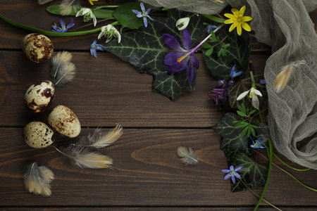 brown wooden background with spring flowers, leaves and copy spaceの写真素材