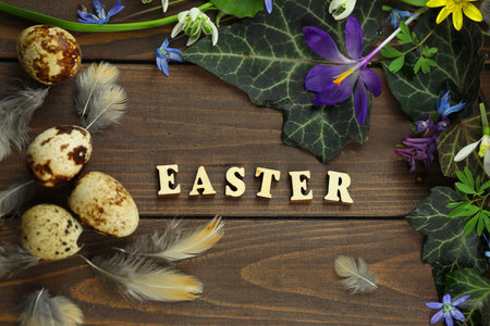 brown wooden background with spring flowers, leaves and copy spaceの写真素材
