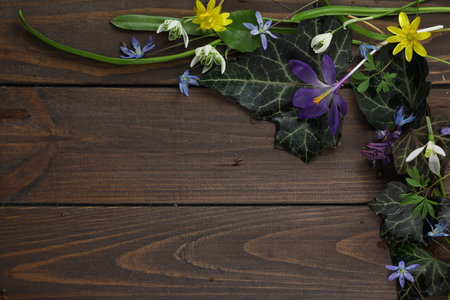 brown wooden background with spring flowers, leaves and copy spaceの写真素材