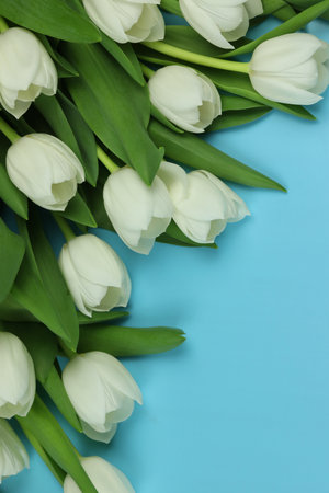 Beautiful bouquet of white tulip flowers with card on blue background, space for textの写真素材