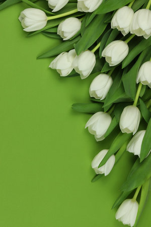 Beautiful bouquet of white tulip flowers with card on green background, space for textの写真素材