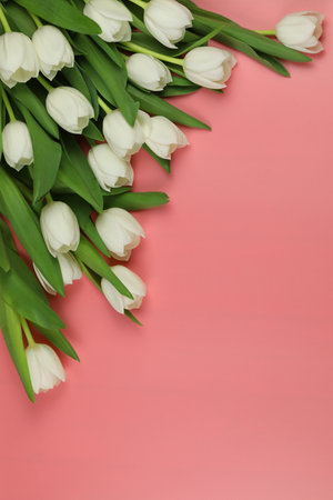 Beautiful bouquet of white tulip flowers with card on pink background, space for textの写真素材