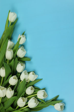 Beautiful bouquet of white tulip flowers with card on blue background, space for textの写真素材