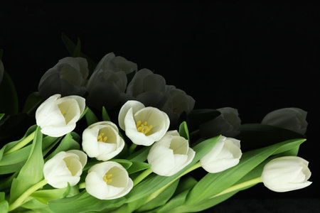 Beautiful bouquet of white tulip flowers with card on black background, space for textの写真素材