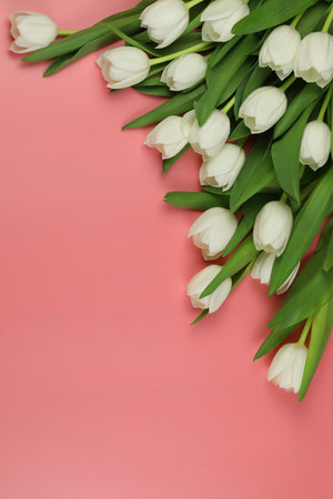 Beautiful bouquet of white tulip flowers with card on pink background, space for textの写真素材