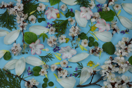A blue background with spring flowers and leaves on it