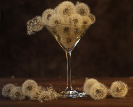 dandelion seed in martini glass with sunset lightの写真素材