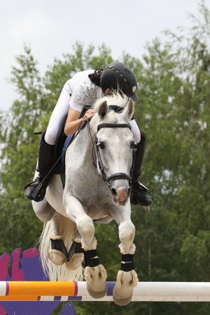 horse and rider on a horse in show jumping competitionの写真素材