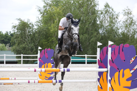 horse and rider on a horse in show jumping competitionの写真素材
