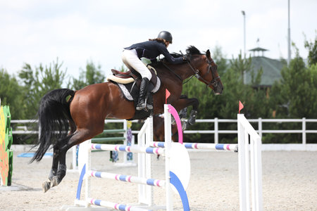 horse and rider on a horse in show jumping competitionの写真素材