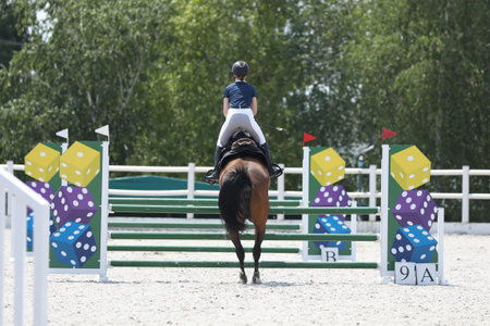 horse and rider on a horse in show jumping competitionの写真素材