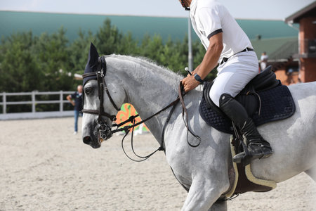 horse and rider on a horse in show jumping competitionの写真素材