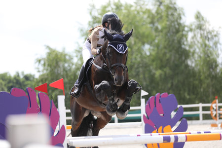 horse and rider on a horse in show jumping competitionの写真素材