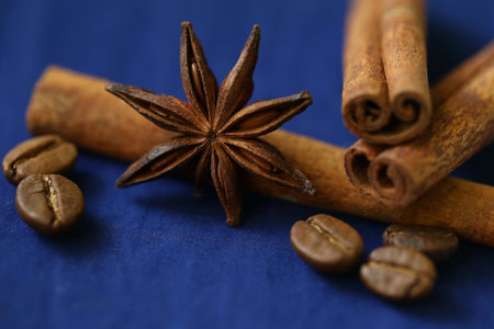 Coffee beans, star anise an cinnamon spices on deep blue backgroundの写真素材