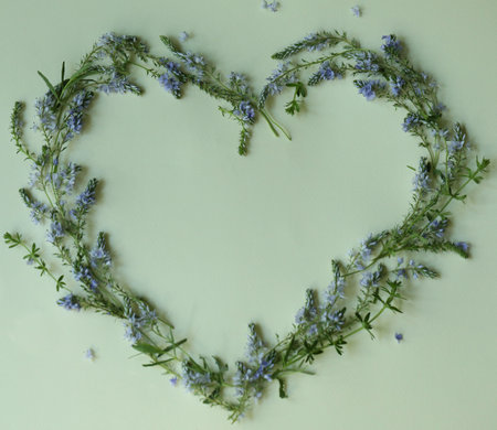 Heartshaped botanical frame with copy space. Floral background with place for textの写真素材