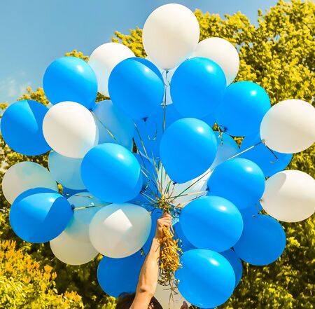 Male hand holding bunch of blue and white balloons against green tree and blue sky on sunny day. Holiday, celebration, Childrens Day, wedding, graduation concept. Peace, love, freedom, purity idea.の写真素材