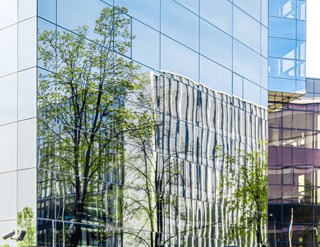 Part of modern corporate buildings from glass with reflections of green trees. Green building concept.の写真素材