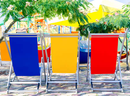 Pool loungers in 3 bright colors: blue, yellow, red standing back under green acacia trees. Mock up for summer holidays, vacation, travel concept.の写真素材