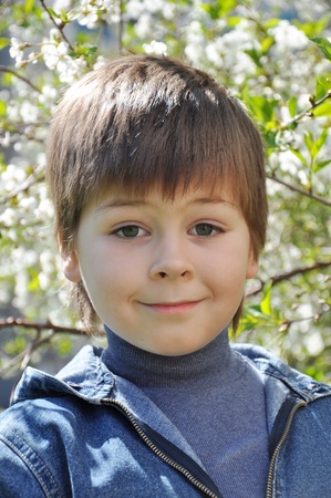 The boy and the cherry blossom in springの写真素材