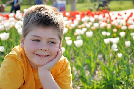 Portrait of a boy on a background of tulips on a sunny dayの写真素材