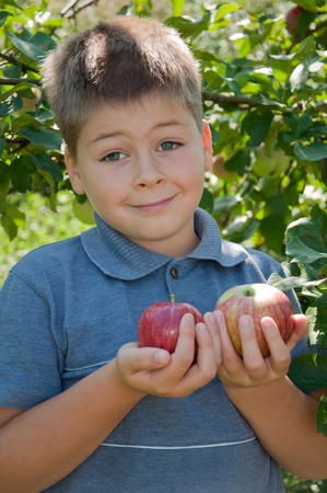 A boy with a delicious red applesの写真素材