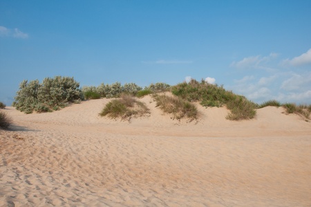 Sand dunes near the coast of the Black Sea near Anapa, Russiaの写真素材