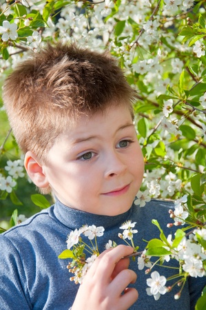 Portrait of a boy near the cherry blossomsの写真素材