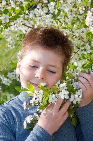 Portrait of a boy near the cherry blossomsの写真素材