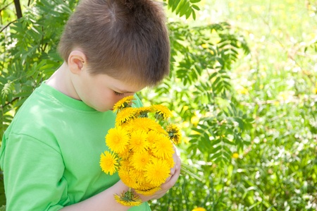 A boy with a bouquet of dandelions in the parkの写真素材